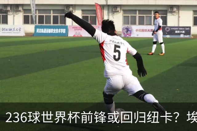 236球世界杯前锋或回归纽卡？埃迪·豪离任成转会契机